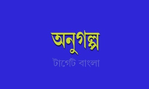 অনুগল্প বা ফ্লাশফিকশন