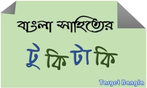 বাংলা সাহিত্যের টুকিটাকি