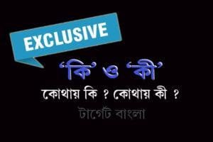 কি ও কী এর ব্যবহার