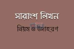 সারাংশ লিখন
