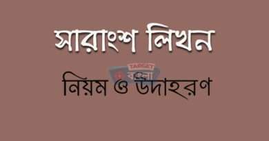 সারাংশ