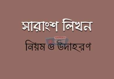 সারাংশ