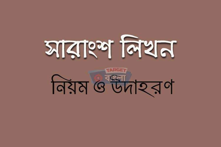 সারাংশ