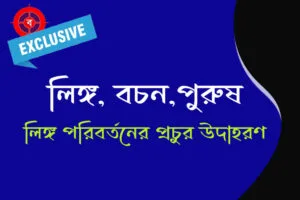 লিঙ্গ বচন ও পুরুষ