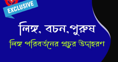 লিঙ্গ বচন ও পুরুষ