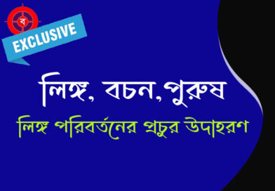 লিঙ্গ বচন ও পুরুষ