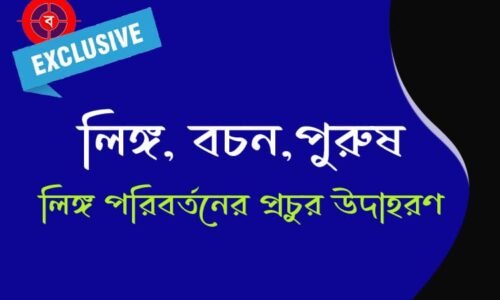 লিঙ্গ বচন ও পুরুষ