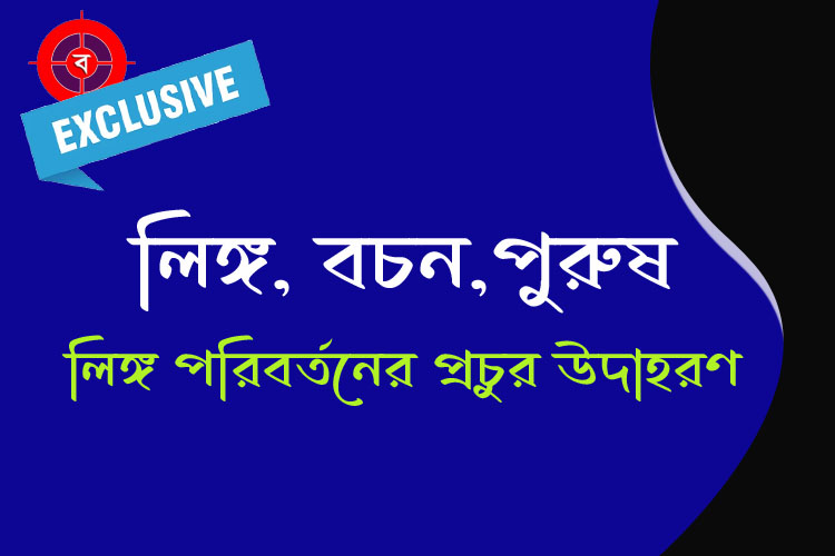 লিঙ্গ বচন ও পুরুষ